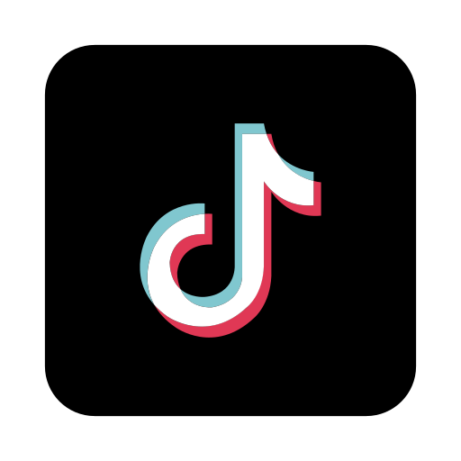TikTok Ads MCP Connector